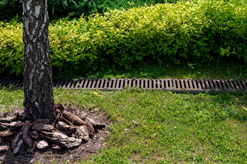 Landscaping Drainage Installation in Tuscaloosa, AL