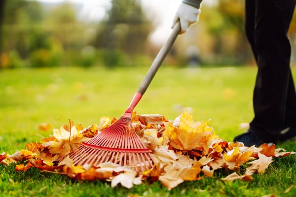 Ditch Leaf Removal