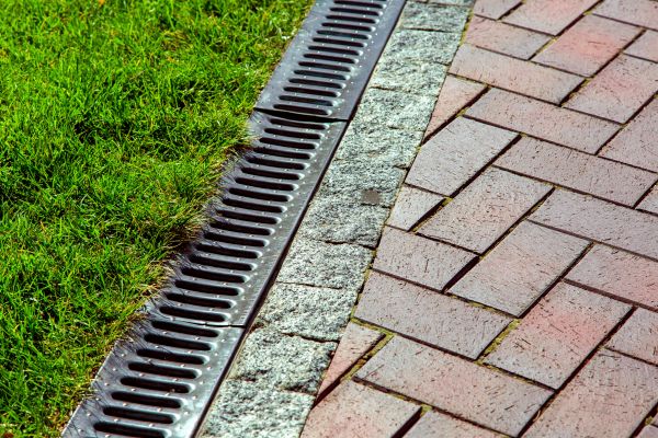 Backyard Water Drainage